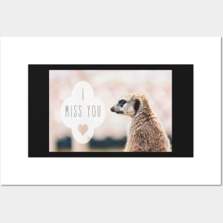 Miss You Meerkat Posters and Art